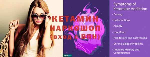дживик Инта