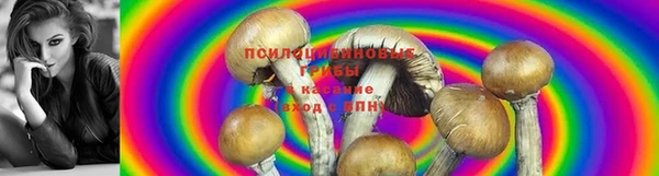 ALPHA PVP Инсар