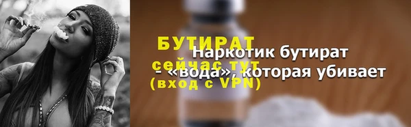 дживик Инта
