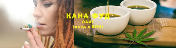 дживик Инта