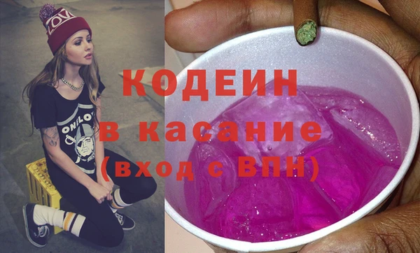 дживик Инта