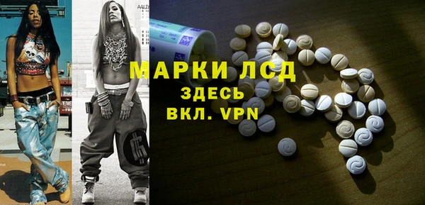 дживик Инта