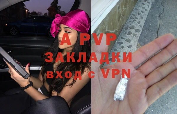 дживик Инта