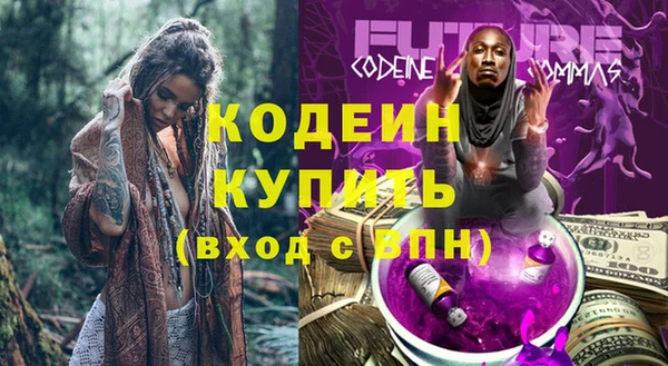 дживик Инта