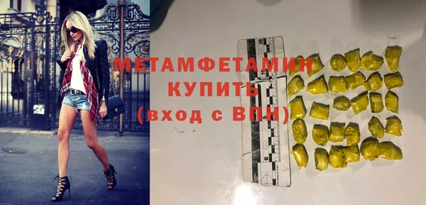 дживик Инта
