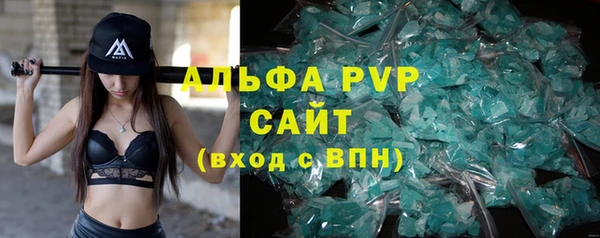 дживик Инта