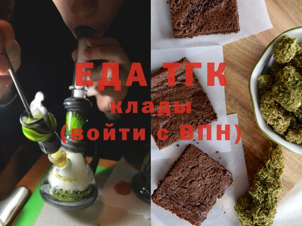 дживик Инта