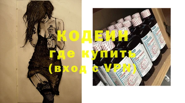дживик Инта