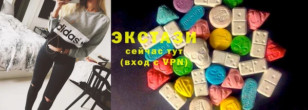 дживик Инта