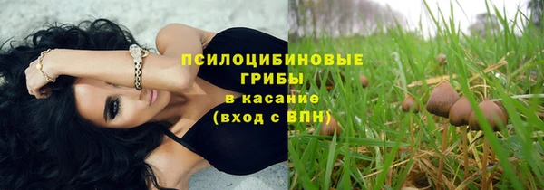 ALPHA PVP Инсар